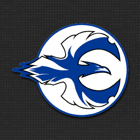 New meets old Falco sigil patch