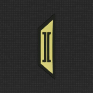 Longevity Patches